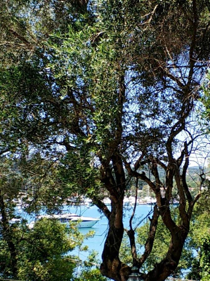 Coritos Apartments Corfu Κοντόκαλι Εξωτερικό φωτογραφία